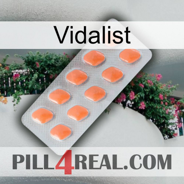 Vidalist 26